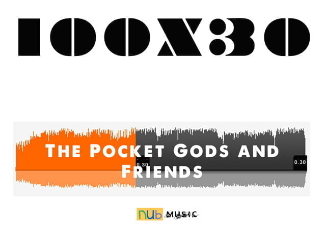 The Pocket Gods 100x30 album