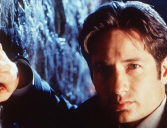 X-Files star David Duchovny likens his debut album to R.E.M. and Wilco