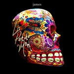 La Petite Mort by James (Album)